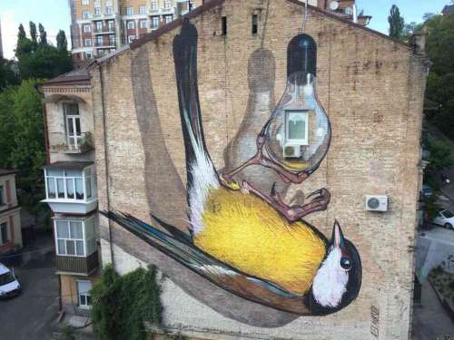 Freedom - Un murale per ArtUnitedUs a Kiev, Ucraina