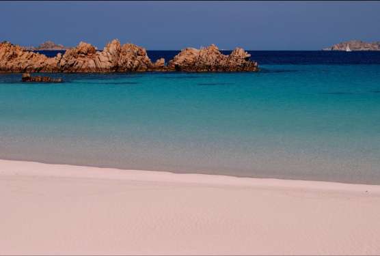 Spiaggia Rosa - Isola di Budelli (OT) Sardegna, Italia